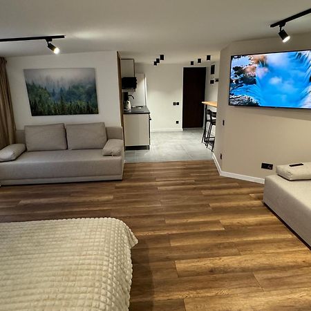 Gray Apartment 24H - Parking On The Street Katowice Luaran gambar