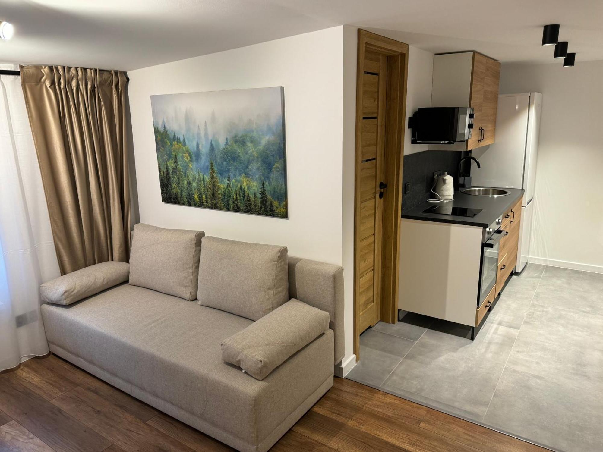 Gray Apartment 24H - Parking On The Street Katowice Luaran gambar